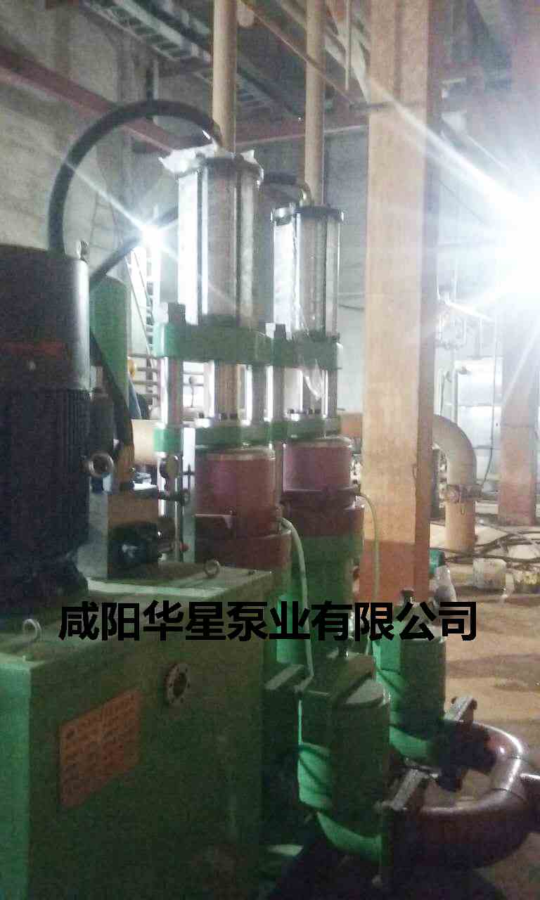 冶金、選礦、含酸礦漿長(zhǎng)距離輸送或給壓濾機(jī)進(jìn)料