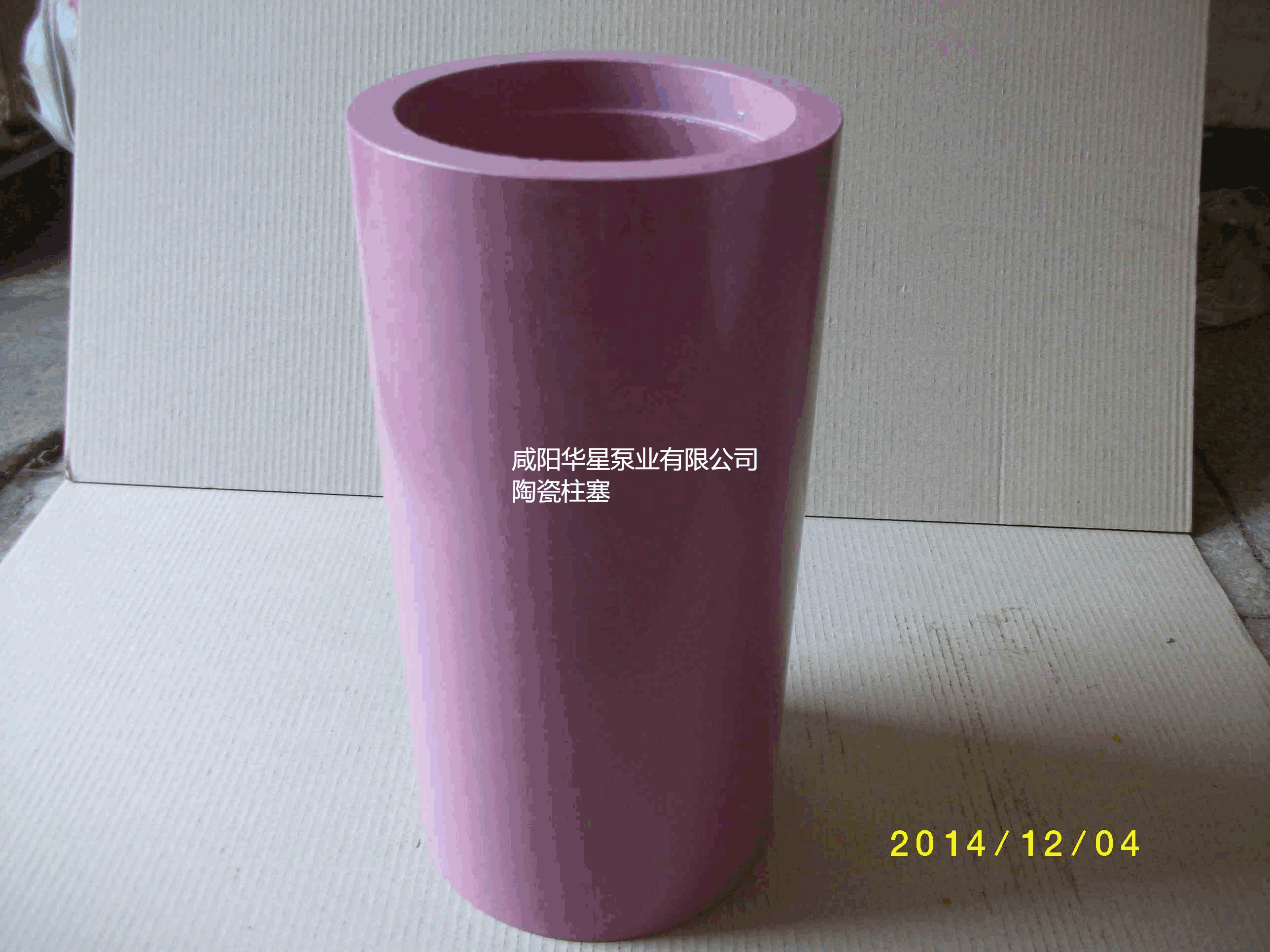 咸陽華星泵業(yè)有限公司陶瓷柱塞.png